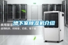 十款家用除濕機主流榜推薦